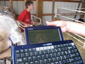 Clay typed Oxen are huge