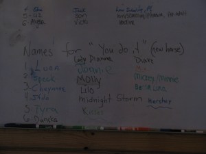 list of horse names on white board