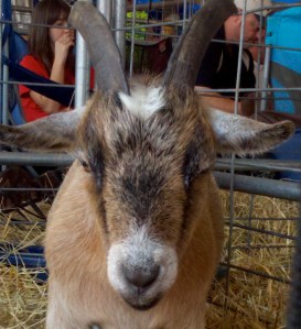 2011-08-20_13-34-29_843